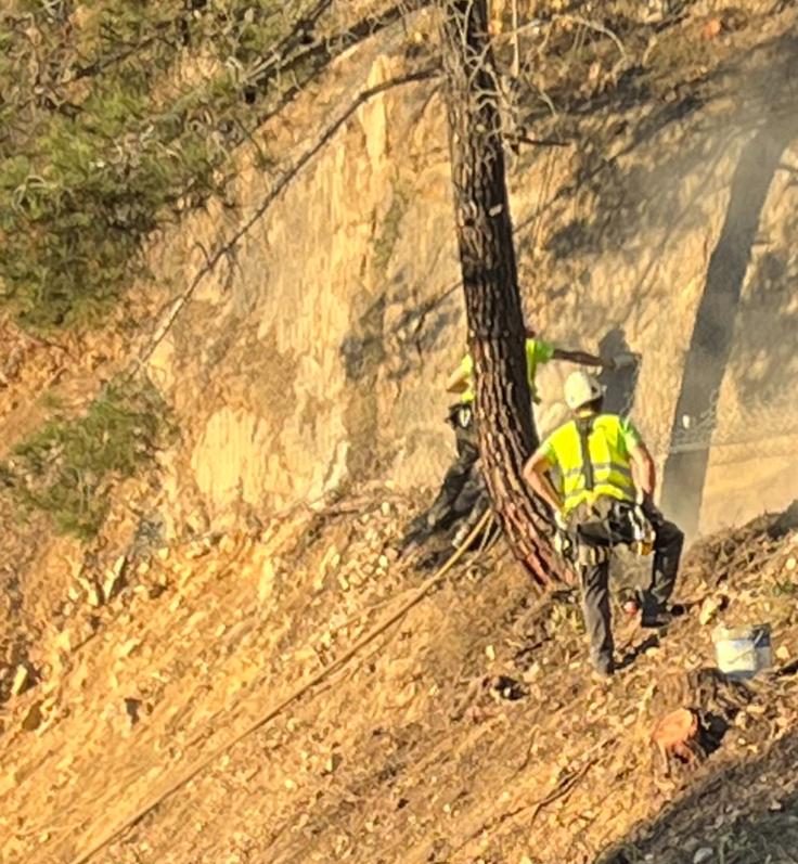 Técnico con arnés trabajando en talud rocoso con malla metálica de triple torsión